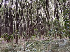 -同里国家湿地公园