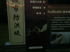 -钱江新城灯光秀