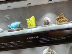 -陕西自然博物馆