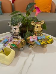 -金都微美·精准护肤·疗愈SPA