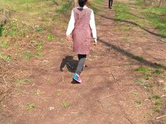 -黄海国家森林公园