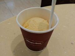 -哈根达斯(石家庄北国店)