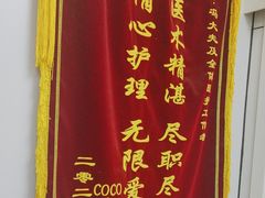 -中农国际动物医院24小时·猫科·骨科·急重症中心