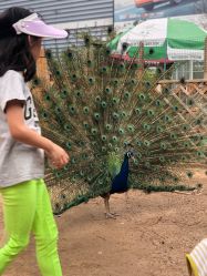 -萌宠亲子动物乐园(槐房万达店)