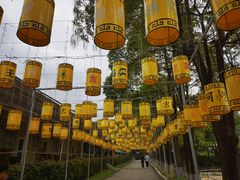 -光明农场大观园
