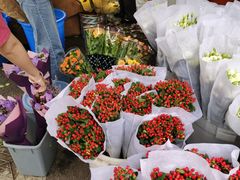 -循礼门鲜花花市(武汉循礼门店)