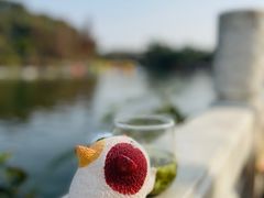 -桂湖森林公园
