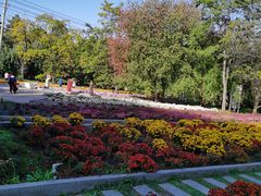 -黑龙江省森林植物园