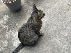 -转山咖啡(松柏社区店)