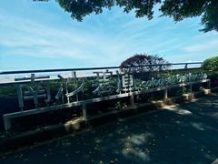 -大湾区中央湿地公园