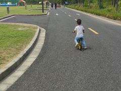 -春花秋色城市公园