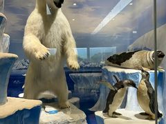 -国家自然博物馆