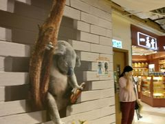 -海港酒家(智昌路店)