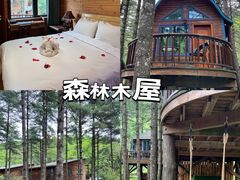 -洛阳白云山景区