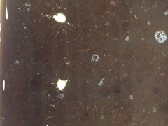 -满记甜品(南京虹悦城三店)