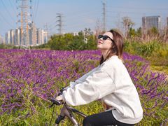 -白鹭湾湿地公园