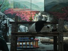 -武汉动物园