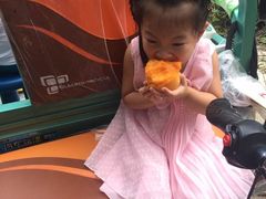 -小慧大桃观光采摘园