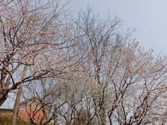 -郭守敬纪念馆