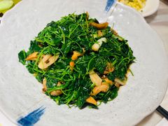 -新梅华餐厅(星悦汇店)