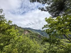 -五女峰国家森林公园