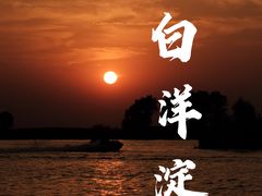 -白洋淀景区