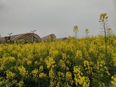 -中国天府农业博览园