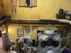 -信不信由你博物馆