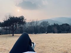 -国家植物园南园