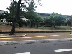 -奈良公园