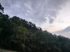 -孔雀湖生态旅游区