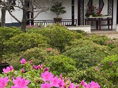 -苏州上方山国家森林公园