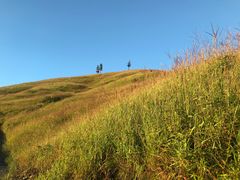 -萍乡武功山风景名胜区