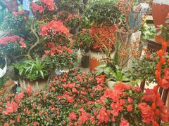 -双季花艺园艺市场(浦东店)