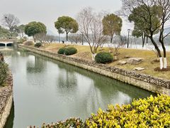 -羊山湖公园