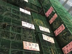 -荔城生鲜盛宴(番禺旗舰店)
