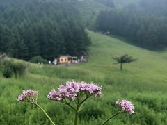 -驼梁风景区