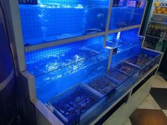 -威海渔村(静安旗舰店)