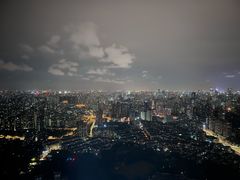 -上海龙之梦万丽酒店