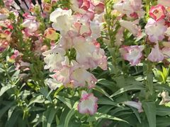 -东华门大街小区