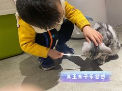 -more than meow吴止猫主题餐厅(承德 中船汇店)