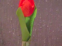 -百富源·海鲜辽菜(和平北大街店)