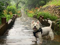 -北京水岸山吧度假村(雁栖镇店)