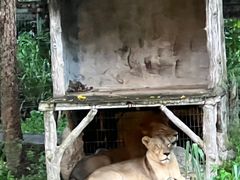 -清迈夜间动物园