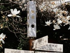 -龙华寺
