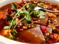 特色毛血旺-蝶园·装修中(BFC外滩金融中心店)