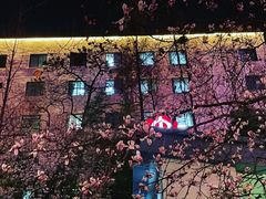 -紫峰大厦