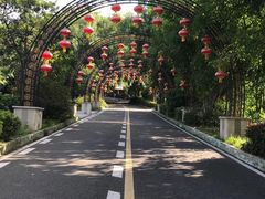 -大屏嶂森林公园