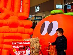 -王府井奥莱临潼小镇(临潼店)