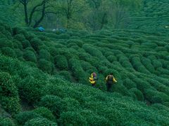 -莫干山风景区